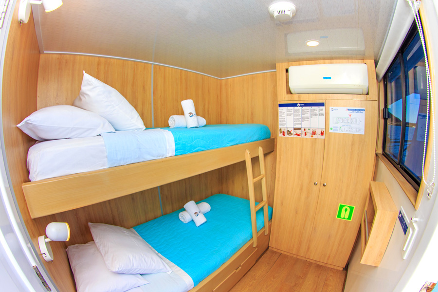 Aqua upper deck twin